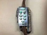 LyndonAhiyitel(Zuni)&#BoloTiemitTürkisen