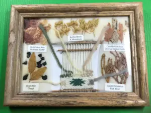 Sammlerleitfaden für indigene Textilien 5 Navajo&#;DyeChart(Färbepflanzen)