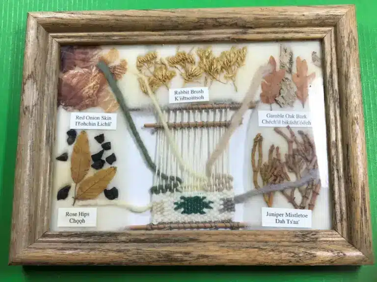 Sammlerleitfaden für indigene Textilien 2 Navajo&#;DyeChart(Färbepflanzen)