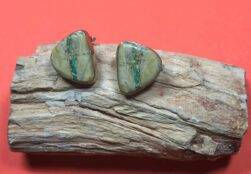 NavajoCooperativeWindowRock&#;Ohrstecker