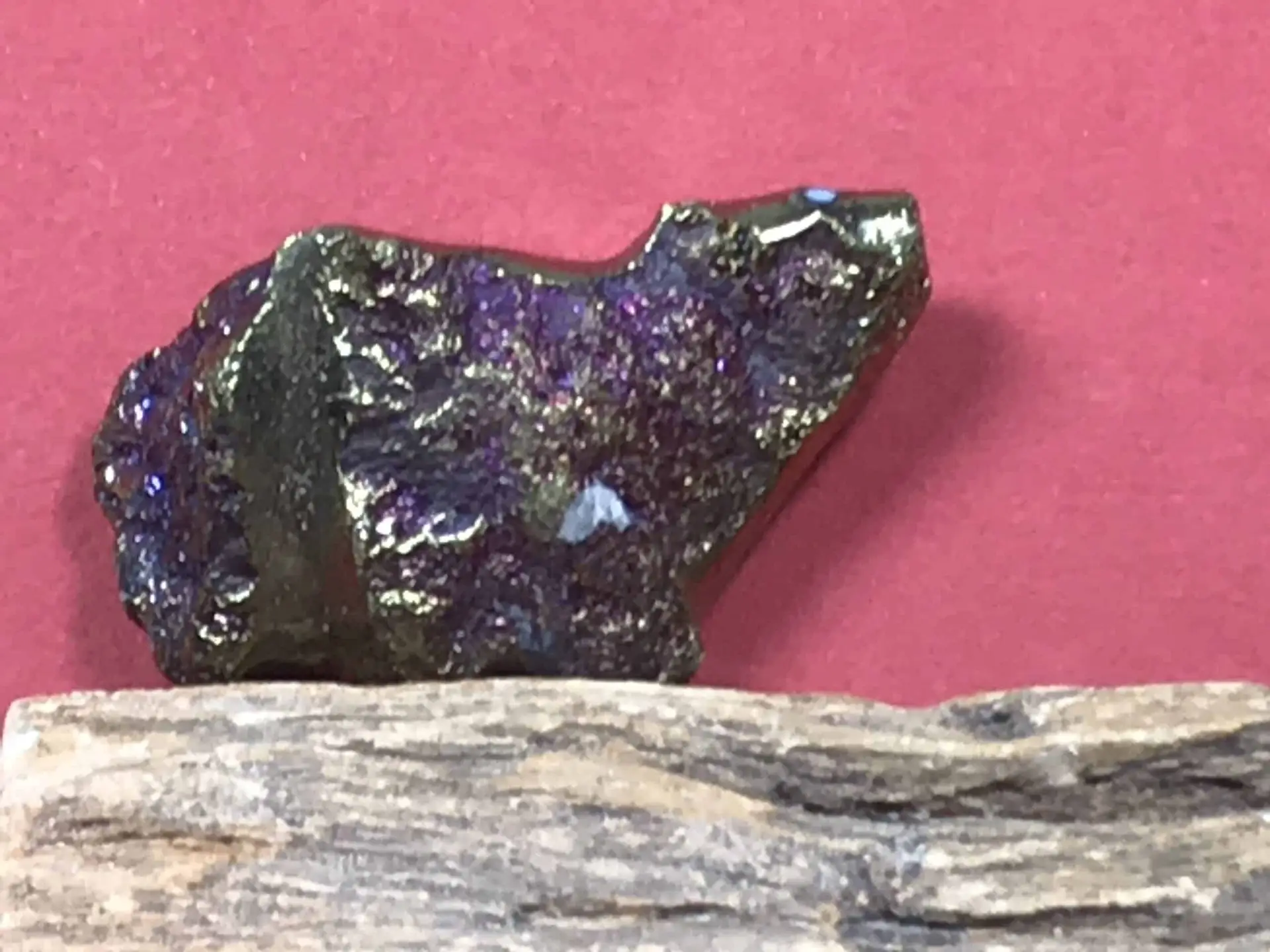 Abby Quam (Zuni) – Pyritebär