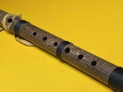 Paul Thompson (Navajo) – Flöte mit flachem Block