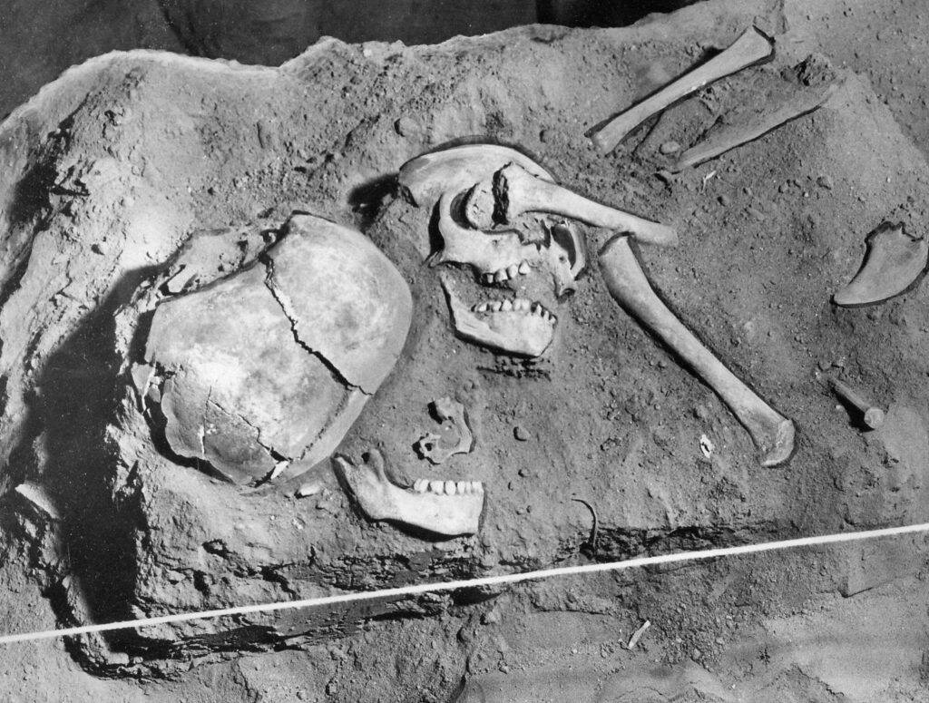 skeletons found in a Tehama County cave in 1953