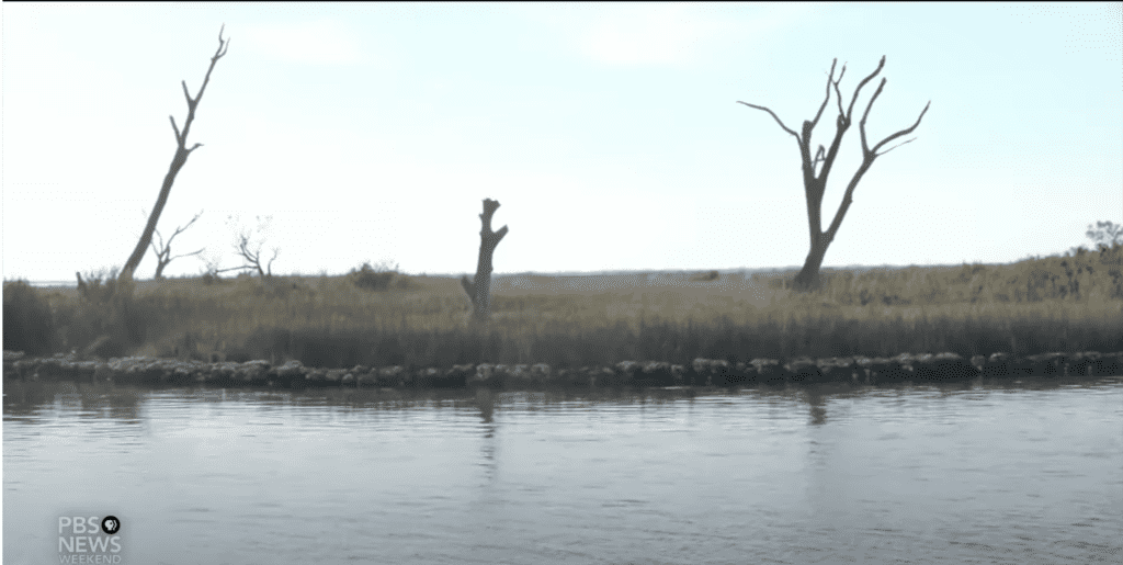 Native American Meerwasserspiegel