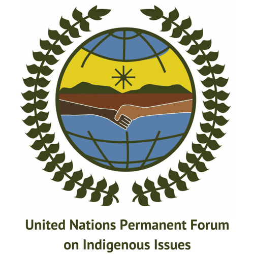 UN Permanent Forum on indigenous questions