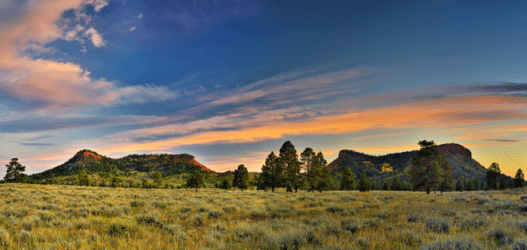 Bears Ears