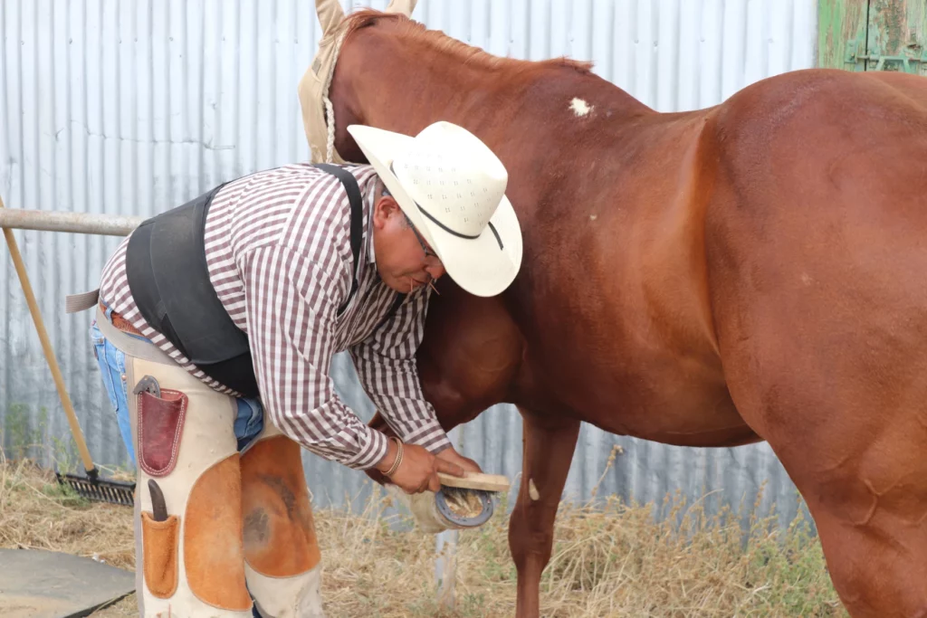 Leander Guy Thomas beschlägt ein Pferd auf einer Ranch im Besitz der Navajo Nation in der Nähe von Flagstaff.