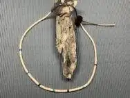 Raymond Gasper (Zuni) - Muschelkette mit Steinperlen