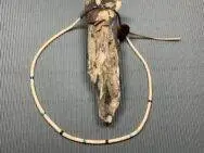 Raymond Gasper (Zuni) - Muschelkette mit Steinperlen