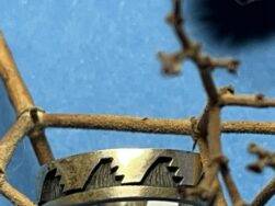 Louie Josytewa (Hopi) - Fingerring mit Wassersymbolen