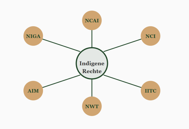 Die wichtigsten politisch kämpfenden Organisationen der Indigenen der USA