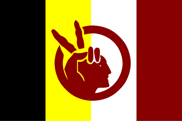 American Indian Movement und indigene Rechte 2 AIM